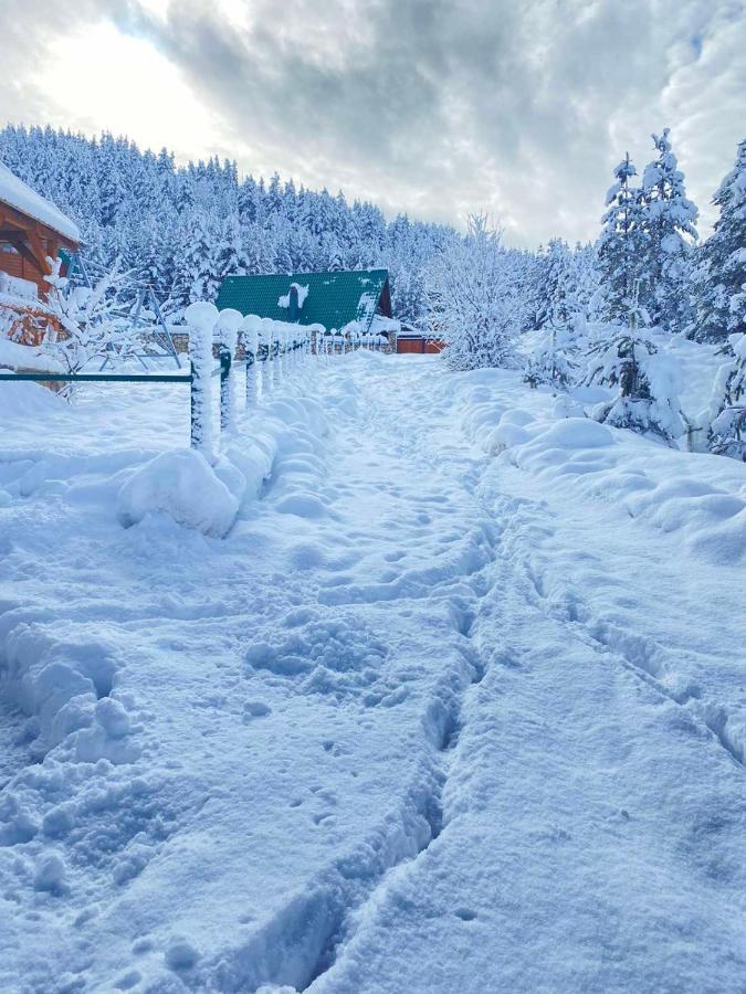 Vikendice Itana Villa Zabljak  Bagian luar foto