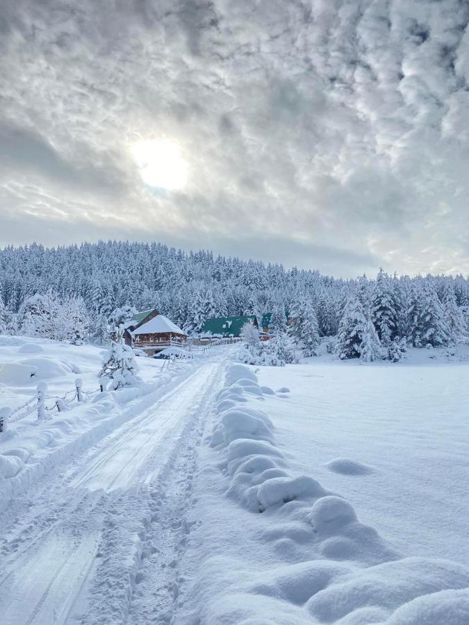 Vikendice Itana Villa Zabljak  Bagian luar foto